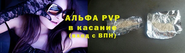 мяу мяу мука Тайга