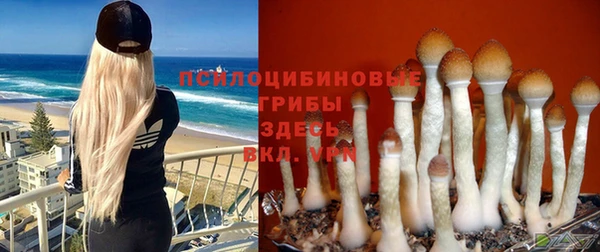 прущий лед Белокуриха