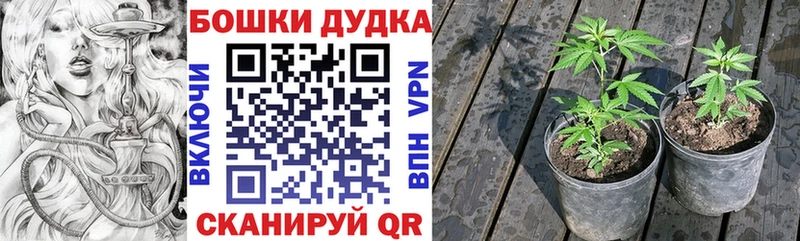 купить сайты Константиновск Марихуана Ganja